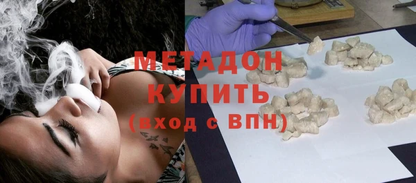 прущие грибы Бронницы