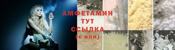 прущие грибы Бронницы