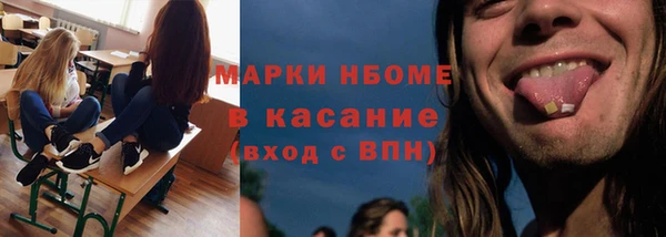 прущие грибы Бронницы