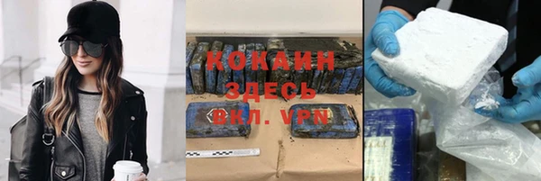 прущие грибы Бронницы