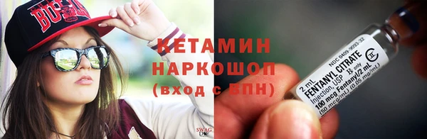 прущие грибы Бронницы