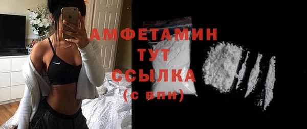 прущие грибы Бронницы