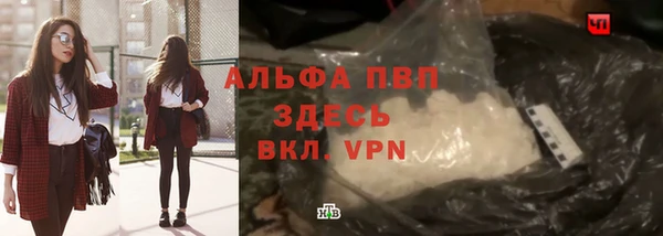 прущие грибы Бронницы