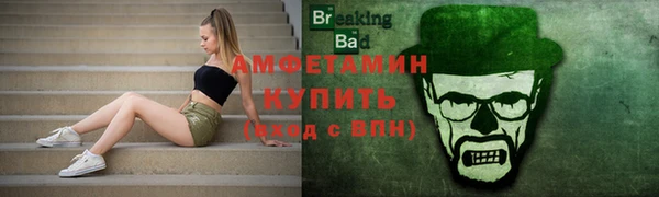 прущие грибы Бронницы
