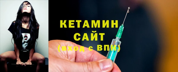 прущие грибы Бронницы