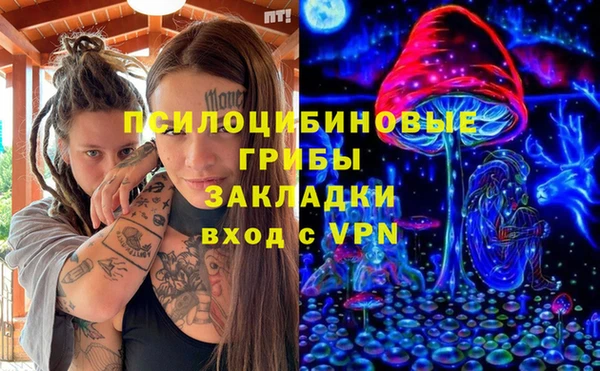 прущие грибы Бронницы