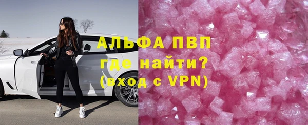 прущие грибы Бронницы