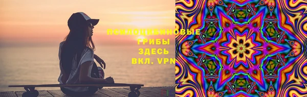 прущие грибы Бронницы